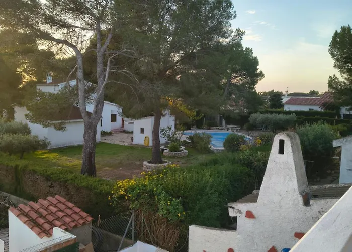 Amarella Costa Dorada *